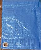 Texsport Reinforced Rip-Stop Polyethylene Tarp (Blue, 12 x 20-Feet)