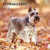 Schnauzers 2012 Square 12X12 Wall Calendar