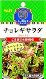 S&B 韓シーズニングチョレギサラダ 12g×10個