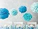 Martha Stewart Crafts Pom Poms, Blue