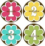 Retro Flower Monthly Baby Bodysuit Stickers