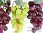 Clustered Colored Grape String Lights