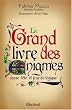 Le grand livre des �nigmes - Casse-t�te et jeux de logique