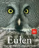 Eulen: V�gel der Weisheit - J�ger der Nacht - Michael Lohmann