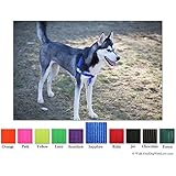 No-Choke No-Pull Front-Leading Dog Harnesses, Sport Edition, 55-120 lbs, Sapphire Blue