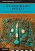 The Archaeology of China: From the Late Paleolithic to the Early Bronze Age (Cambridge World Archaeology)