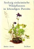 Sechzig einheimische Wildpflanzen in lebendigen Portr&auml;ts - Detlev Arens