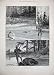 1897 Sport Alaska Salmon Bear Hunting River Man Fishing