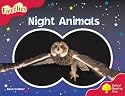 Oxford Reading Tree: Stage 4: Fireflies: Pack (6 books, 1 of each title)