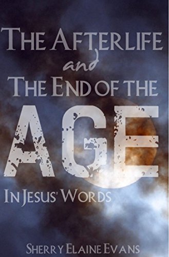 The Afterlife and The End of the Age: In Jesus' Words: (14 Days Bible Studies Book 5)