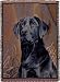 Black Labrador Retriever Dog Deluxe Full-Size Tapestry Blanket Throw