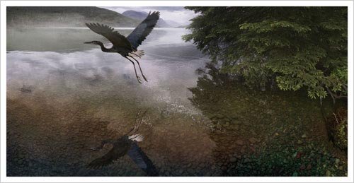 Taking Flight Art Print Poster by Steve Hunziker