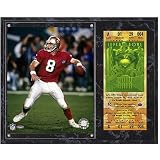 Mounted Memories San Francisco 49ers Super Bowl XXIX Steve Young Plaques with Replica Ticket