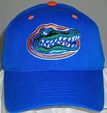 Florida Gators Wool Team Color One Fit Hat