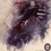 Proem-Permanent Solution