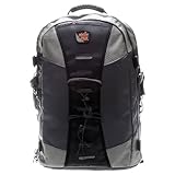 Aktiv Pak AP600 600 Pro Camera Backpack (Silver)