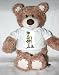 Teddy Bear with zulu, plant, native, ornaments, woman, tribal, africa, naked, nude, inhabitant t-shirt