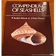 Compendium of Seashells: A Full-Color Guide to More than 4,200 of the World's Marine Shells