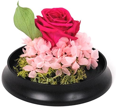 Natural Rose Preserved Flower in Durable Acrylic Circle Case-PINK