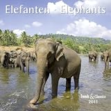 Elefanten 2011. Trends & Classics Kalender