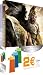 DVD : Alexandre [inclus 3 chaussettes pour lecteur Mp3]