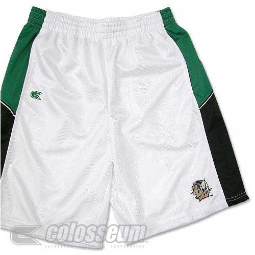 Buy North Dakota Fighting Sioux Colosseum Endline Shorts