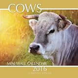 Cows Mini Wall Calendar 2016: 16 Month Calendar