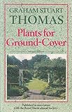 Plants for ground-cover
