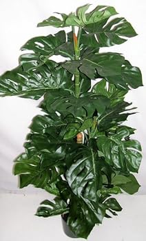55" Silk Split Leaf Philodendron Plant
