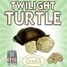 Baby : Cloud b Twilight Constellation Turtle Night Light (7323-ZZ) + Cloud b Baby Turtle with Quiet Rattle (7321-ZZ) + NiMH AAA Rechargeable Batteries and Charger DavisMAX Bundle