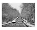 The Road Ahead Motivational Photographic Poster Print by Tanya Vera, 10x8
