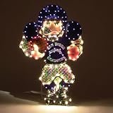 San Diego Chargers Nfl Light-Up Player Lawn Decoration (44)"