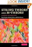 String Theory and M-Theory: A Modern Introduction