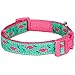 Blueberry Pet Essentials 10 Patterns Pink Flamingo on Light Emerald Adjustable Dog Collar, X-Small, Neck 7.5
