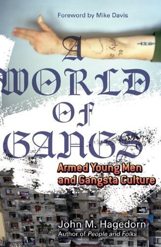 A World of Gangs: Armed Young Men and Gangsta Culture (Globalization and Community) by Hagedorn, John M. (6/12/2009)