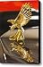 Zimmer Eagle Hood Ornament 2 Canvas Print / Canvas Art - Artist Jill Reger