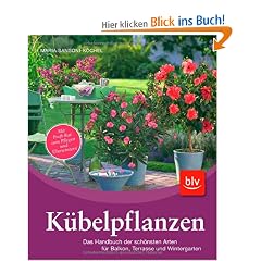 K�belpflanzen: Das Handbuch der sch�nsten Arten f�r Balkon, Terrasse und Wintergarten