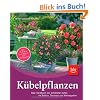 K�belpflanzen: Das Handbuch der sch�nsten Arten f�r Balkon, Terrasse und Wintergarten