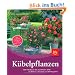 K�belpflanzen: Das Handbuch der sch�nsten Arten f�r Balkon, Terrasse und Wintergarten