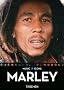 Music ICONS. Bob Marley