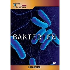 Durchblick - Bakterien-