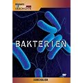 Durchblick - Bakterien-