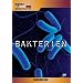 Durchblick - Bakterien-