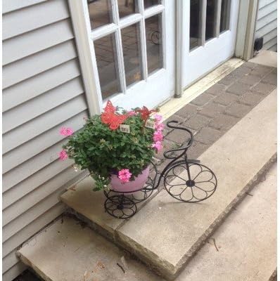 Novelty Tricycle Planter