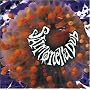 Salmonella Dub