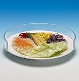 Mobility Choices Clear Plastic Plate Guard for 8.5