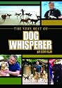 Dog Whisperer: The Very Best of