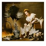 The Cook Giclee Poster Print by Bernardo Strozzi, 24x24