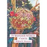 The Wonder World of Ants
