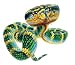 Asian Pit Viper Snake (trimeresurus Species) - 18"W x 16"H - Peel and Stick Wall Decal by Wallmonkeys